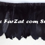 Banda din pene de porumbel neagra