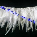 Banda pene cocos alb-ivoire