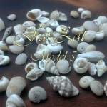 Scoici pentru decoratiuni