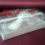 Marturii solnite – Model 2