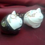 Marturii solnite – Model 1