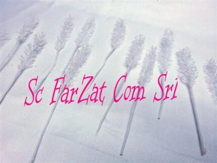 Accesoriu pentru cocarde