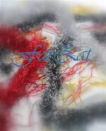 beteala-pom-craciun-beteala-brad-craciun