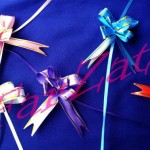 Pampoane decorative cod 07