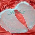 Aripi inger cod 9