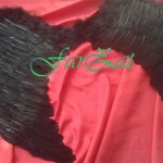 Aripi de inger cod 10