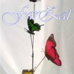 Fluturi decorativi cod 11