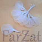 Set palete cocarde - imagine 4