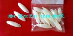 Pietre de cusut forma ovala 8×22 mm cod 141 - imagine 3