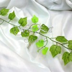 Ghirlande frunze iedera model 1 - 7