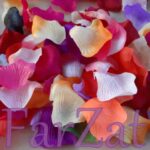 Petale trandafir colorate - imagine 3