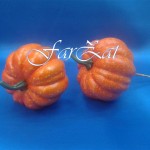 Dovleac decorativ cu betisor