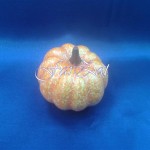 Dovlecei decorativi - Model 1