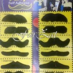 Mustati false - Set 12 bucati