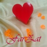 Cutiuta marturii model inima