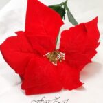 Decor floare Craciunita cod 5 - imagine 2