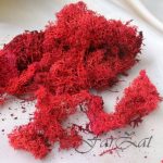 Licheni grena naturali deshidratati