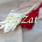 Flori uscate - Lagurus