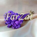 Flori uscate - maci - imagine 2