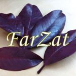 Frunze naturale de magnolie - imagine 3