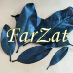 Frunze naturale de magnolie - imagine 2