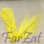 Pene de strut galbene - imagine 2