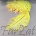 Pene de strut galbene