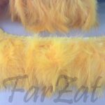 banda-pene-lebada-la-metru