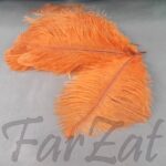 Pene decorative de strut 15 - 25 cm - portocaliu