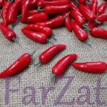 Legume artificiale - Ardei iuti