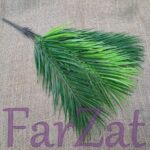 Buchet frunze decorative palmier