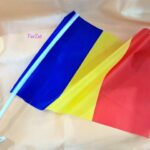 Stegulet auto tricolor