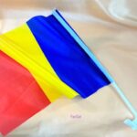 Stegulet auto tricolor - imagine 3